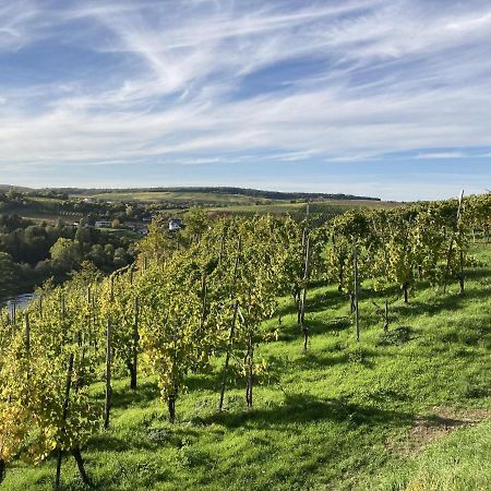 Lovely Holiday Home In Veldenz Near Mosel River Esterno foto